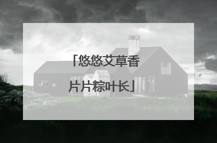 悠悠艾草香 片片粽叶长