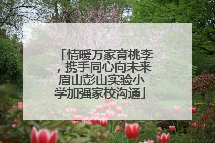 情暖万家育桃李，携手同心向未来 眉山彭山实验小学加强家校沟通