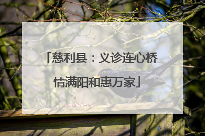 慈利县：义诊连心桥 情满阳和惠万家