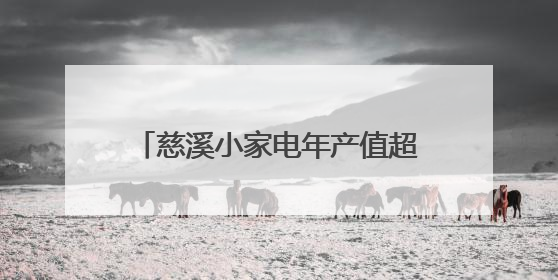 慈溪小家电年产值超千亿元，“小家电之都”主打一个性价比