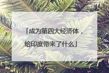成为第四大经济体，给印度带来了什么