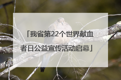 我省第22个世界献血者日公益宣传活动启幕