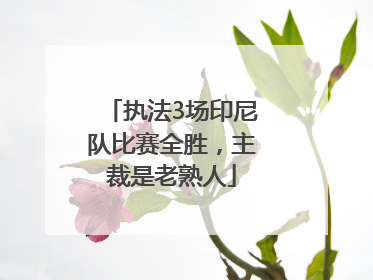 执法3场印尼队比赛全胜，主裁是老熟人