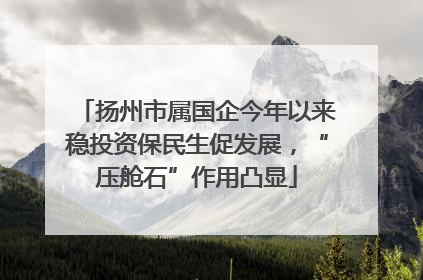 扬州市属国企今年以来稳投资保民生促发展，“压舱石”作用凸显
