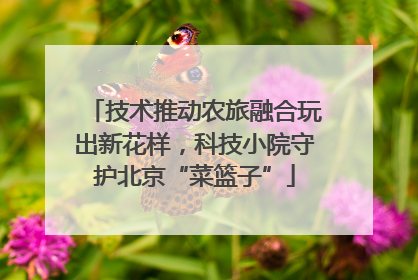 技术推动农旅融合玩出新花样，科技小院守护北京“菜篮子”