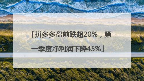 拼多多盘前跌超20%，第一季度净利润下降45%
