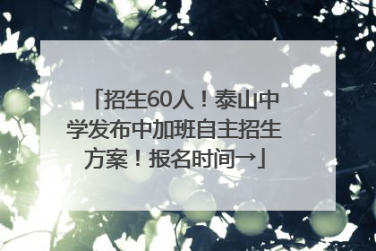 招生60人！泰山中学发布中加班自主招生方案！报名时间→