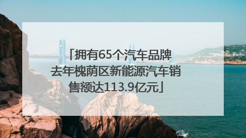 拥有65个汽车品牌 去年槐荫区新能源汽车销售额达113.9亿元