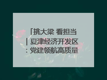 挑大梁 看担当｜夏津经济开发区：党建领航高质量发展新实践