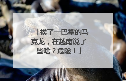挨了一巴掌的马克龙，在越南说了些啥？危险！