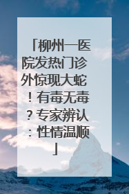 柳州一医院发热门诊外惊现大蛇！有毒无毒？专家辨认：性情温顺