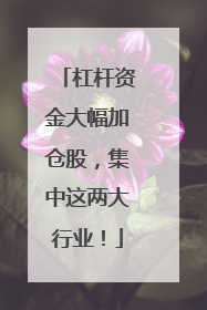 杠杆资金大幅加仓股，集中这两大行业！