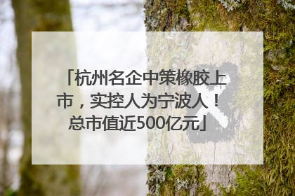 杭州名企中策橡胶上市，实控人为宁波人！总市值近500亿元
