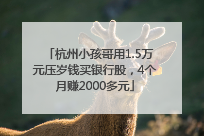杭州小孩哥用1.5万元压岁钱买银行股，4个月赚2000多元
