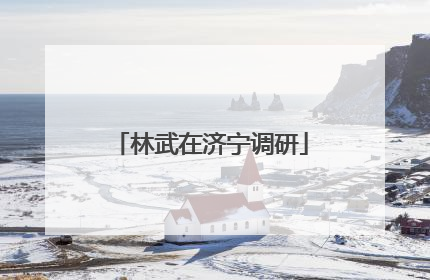 林武在济宁调研
