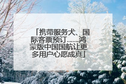 携带服务犬、国际客票预订……鸿蒙版中国国航让更多用户心愿成真