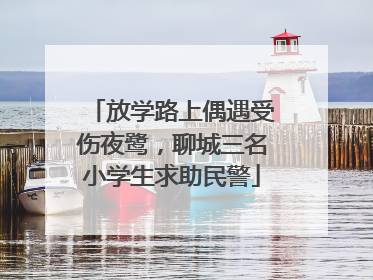 放学路上偶遇受伤夜鹭，聊城三名小学生求助民警