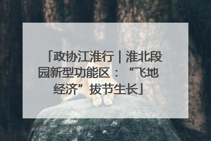 政协江淮行｜淮北段园新型功能区：“飞地经济”拔节生长