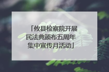 攸县检察院开展民法典颁布五周年集中宣传月活动