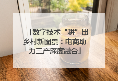 数字技术“耕”出乡村新图景：电商助力三产深度融合