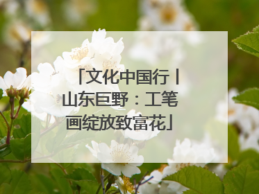 文化中国行丨山东巨野：工笔画绽放致富花