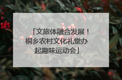 文旅体融合发展！桐乡农村文化礼堂办起趣味运动会