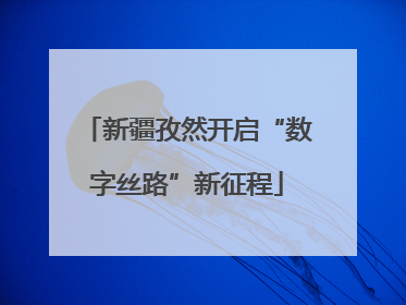 新疆孜然开启“数字丝路”新征程