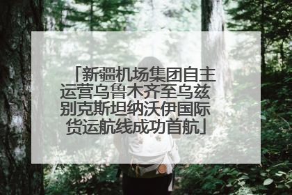 新疆机场集团自主运营乌鲁木齐至乌兹别克斯坦纳沃伊国际货运航线成功首航