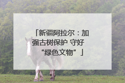新疆阿拉尔：加强古树保护 守好“绿色文物”