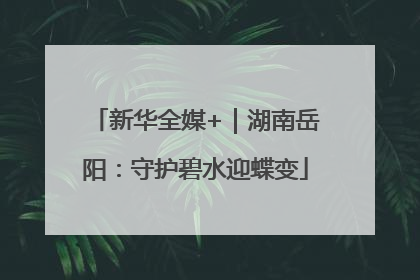 新华全媒+｜湖南岳阳：守护碧水迎蝶变