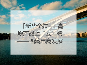 新华全媒+｜高原产品上“云”端——西藏电商发展一线观察