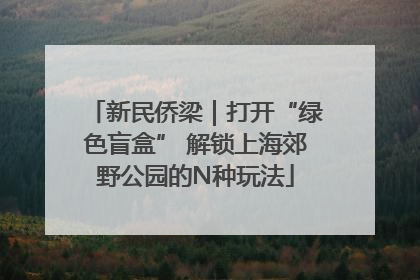 新民侨梁｜打开“绿色盲盒” 解锁上海郊野公园的N种玩法