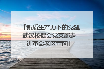 新质生产力下的党建 武汉校促会党支部走进革命老区黄冈