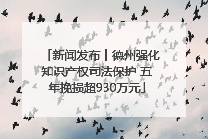 新闻发布丨德州强化知识产权司法保护 五年挽损超930万元