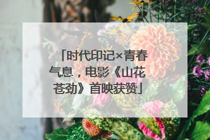 时代印记×青春气息，电影《山花苍劲》首映获赞