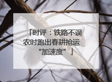 时评：铁路不误农时跑出春耕抢运“加速度”