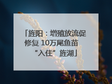 旌阳：增殖放流促修复 10万尾鱼苗“入住”旌湖