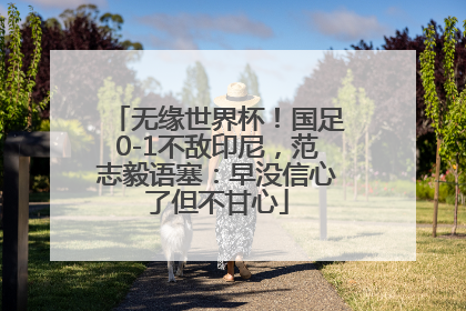 无缘世界杯！国足0-1不敌印尼，范志毅语塞：早没信心了但不甘心