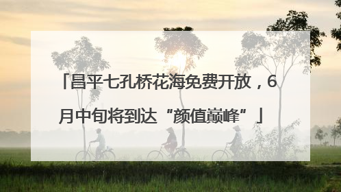 昌平七孔桥花海免费开放，6月中旬将到达“颜值巅峰”