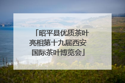 昭平县优质茶叶亮相第十九届西安国际茶叶博览会