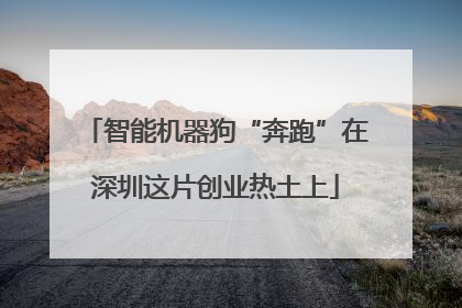 智能机器狗“奔跑”在深圳这片创业热土上