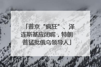 普京“疯狂”、泽连斯基应闭嘴，特朗普猛批俄乌领导人