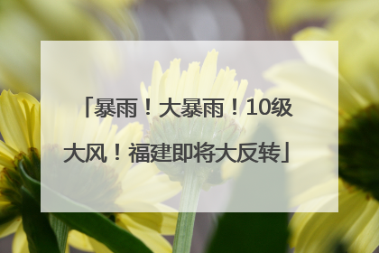 暴雨！大暴雨！10级大风！福建即将大反转