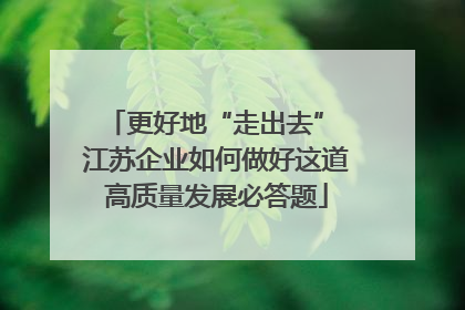 更好地“走出去” 江苏企业如何做好这道高质量发展必答题