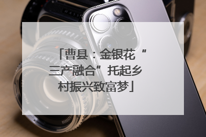 曹县：金银花“三产融合”托起乡村振兴致富梦