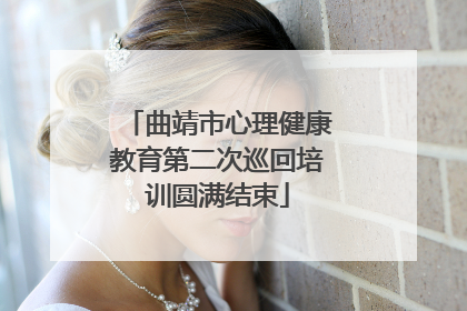 曲靖市心理健康教育第二次巡回培训圆满结束