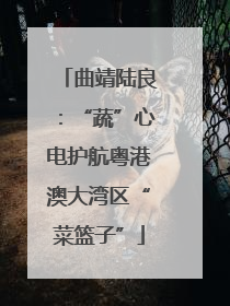 曲靖陆良：“蔬”心电护航粤港澳大湾区“菜篮子”