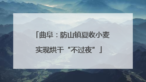 曲阜：防山镇夏收小麦实现烘干“不过夜”