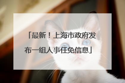 最新！上海市政府发布一组人事任免信息