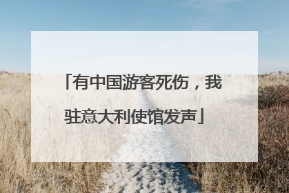 有中国游客死伤，我驻意大利使馆发声